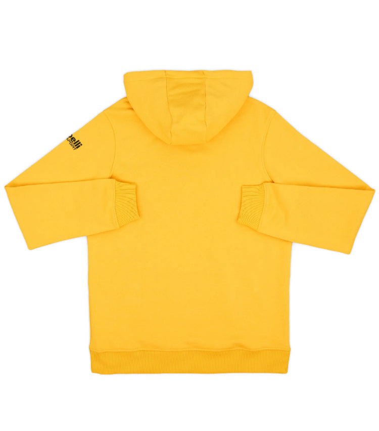 AEK Athènes Sweat Officiel 2019-20 (L)