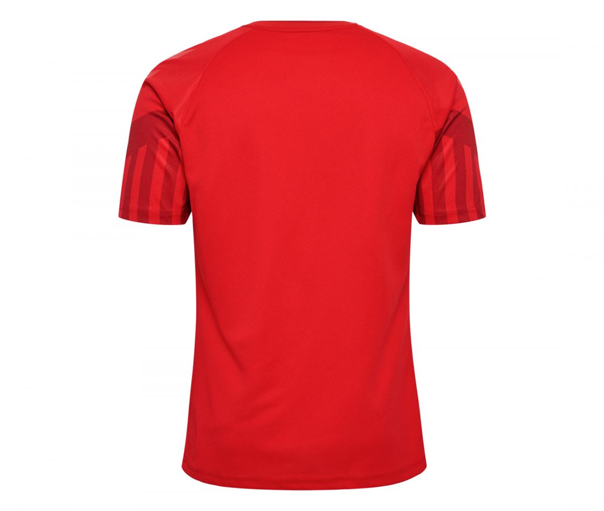 Danemark Domicile 2022 World Cup (L)