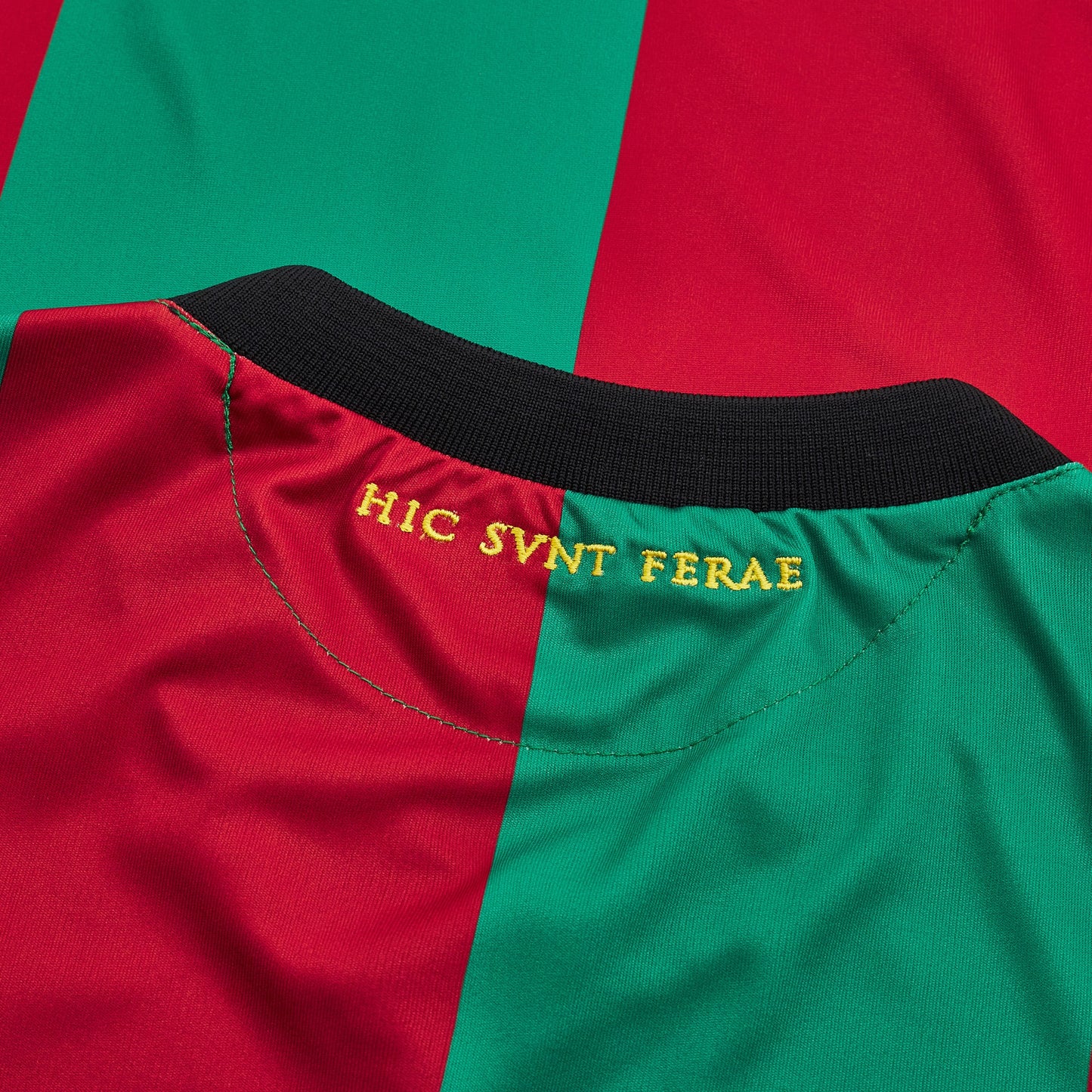 Ternana Domicile 2024-25 (L)
