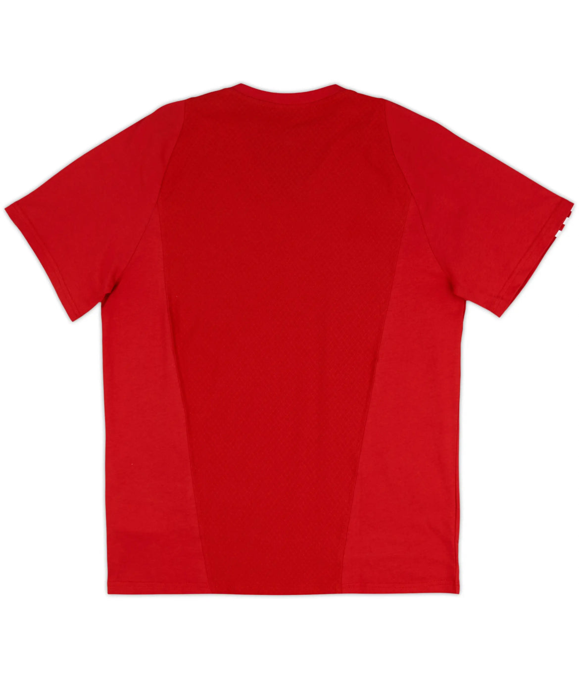 Pays de Galles Training T-Shirt 2023-24 (M) (Womens)