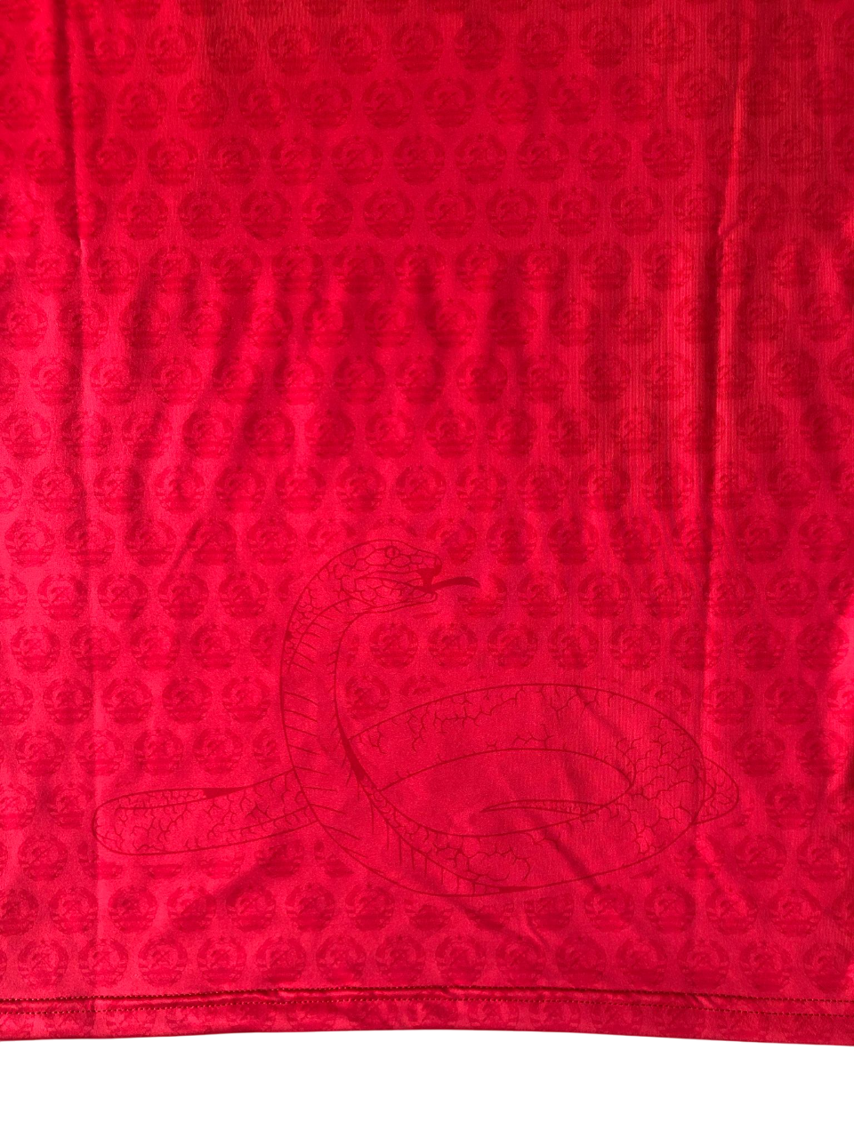 Mozambique Domicile 2024-25 (S/M/L/XL)