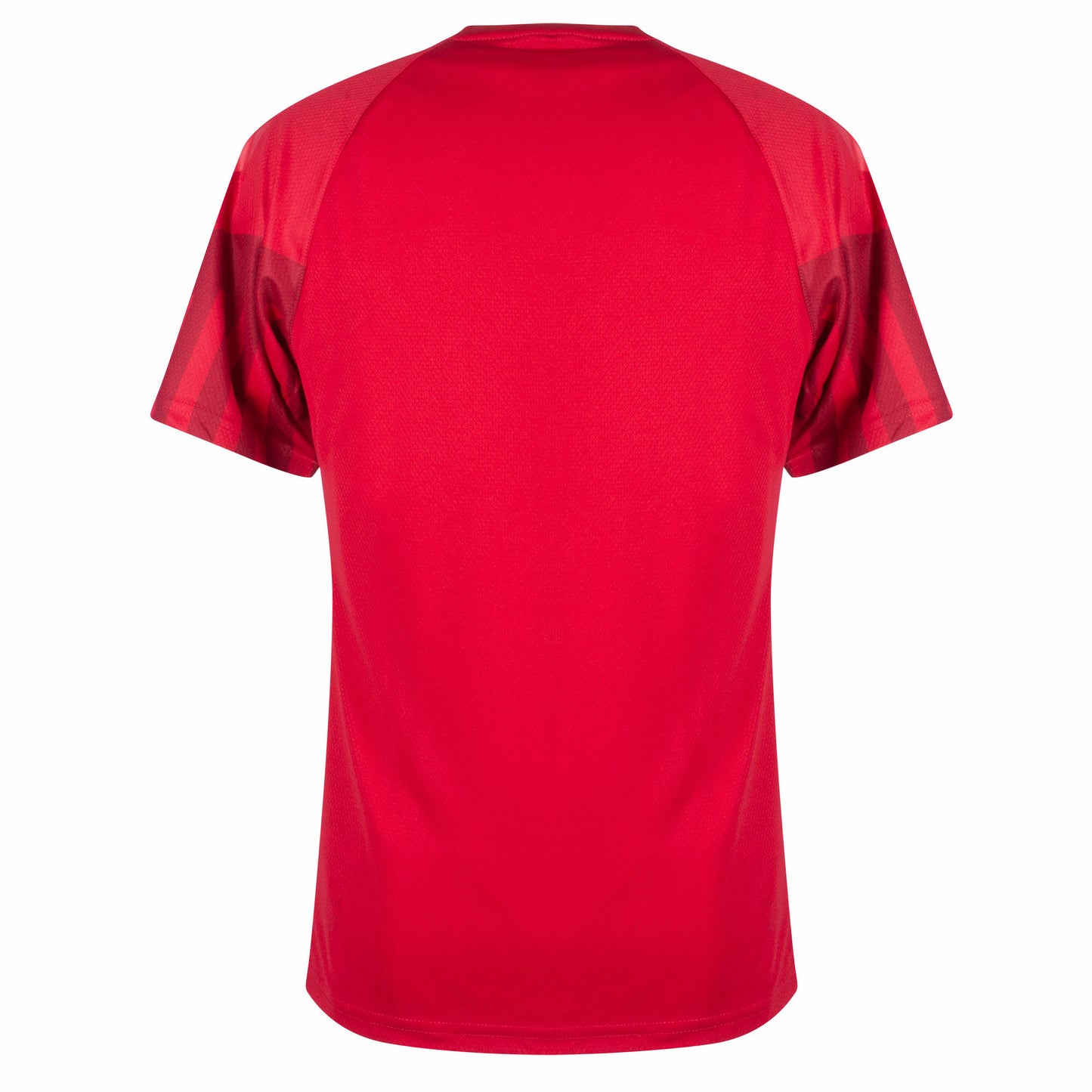 Danemark Domicile 2022 World Cup (L)