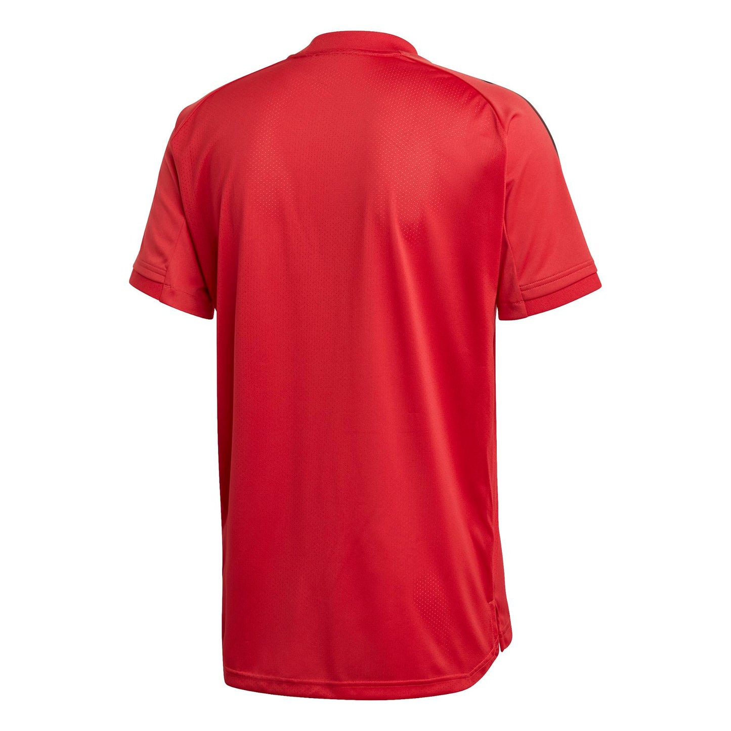 Belgique Training Player 2020-21 (S)