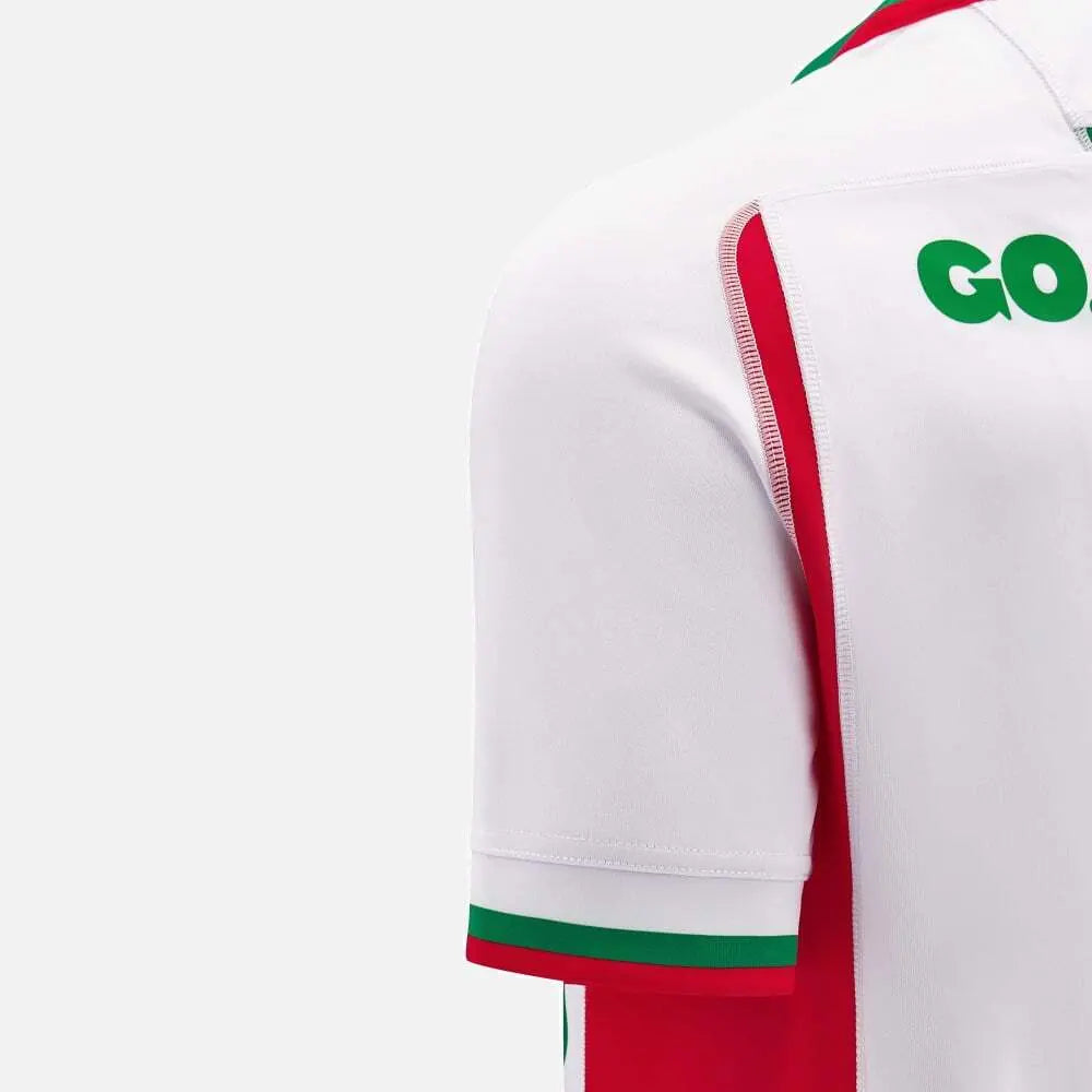 Pays de Galles Rugby Extérieur 2024-25 (XL)