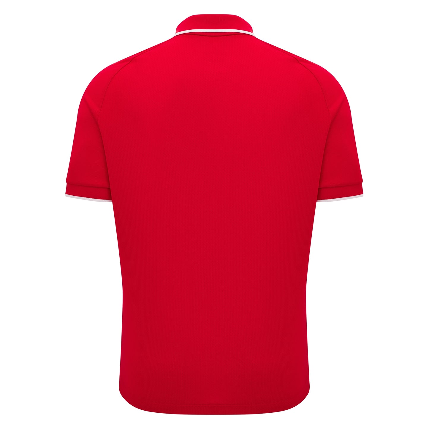 Albanie Polo Officiel 2024-25 (M/L/XXL)
