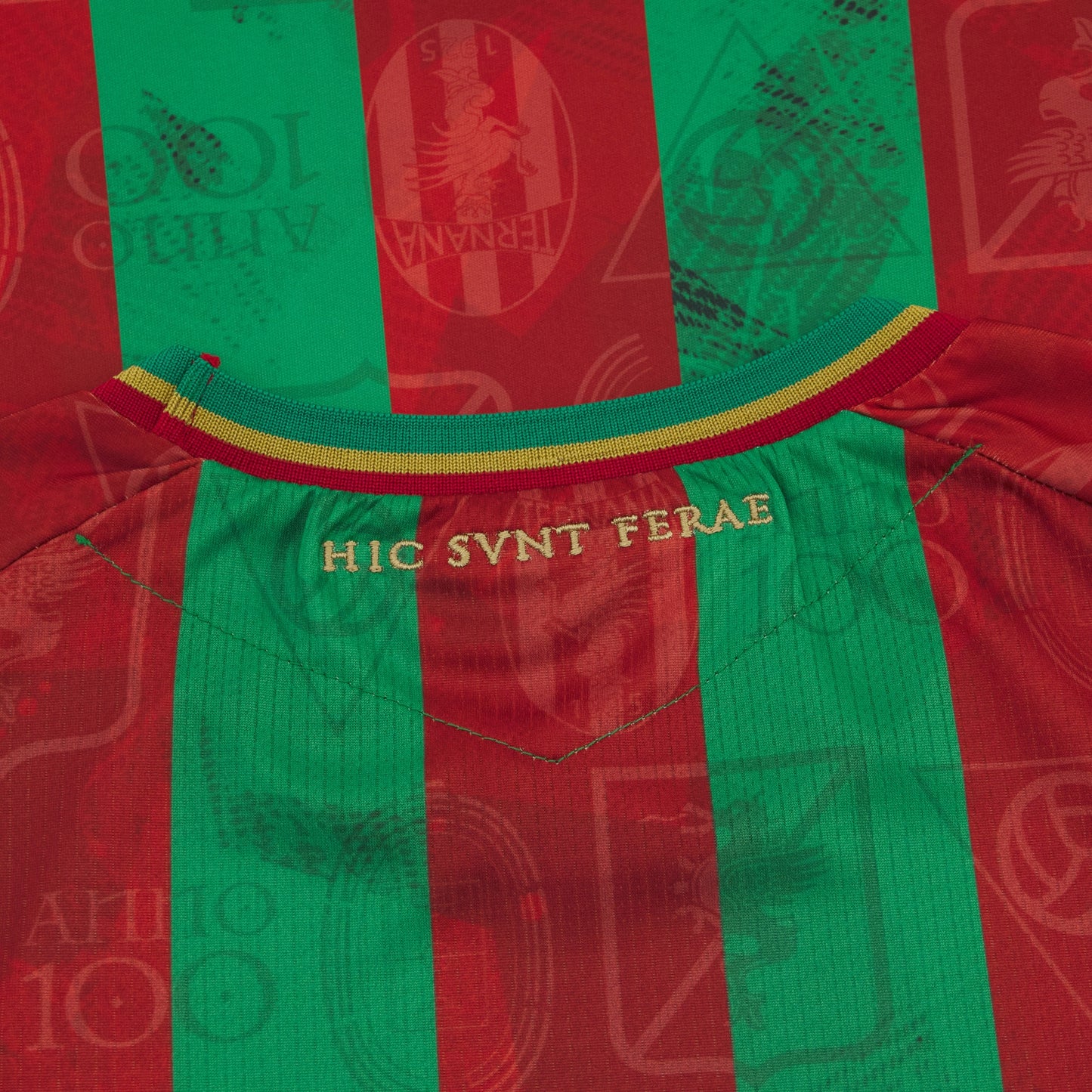 Ternana Domicile 2025-26 (S/M/3XL) *100ans*