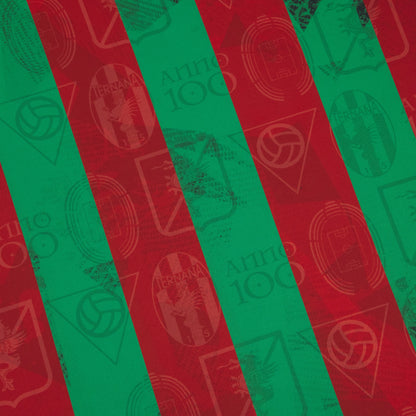 Ternana Domicile 2025-26 (S/M/3XL) *100ans*