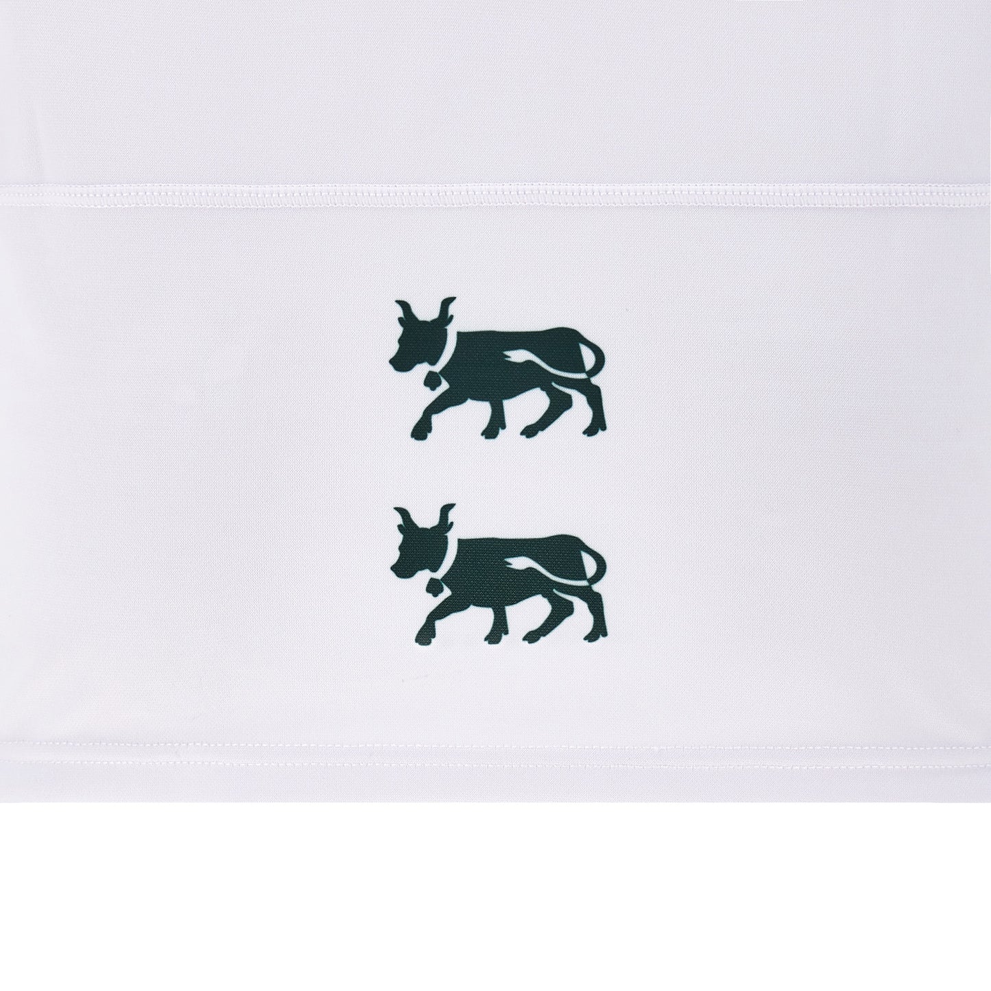 Section Paloise Extérieur 2024-25 (3XL)