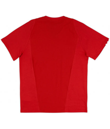 Pays de Galles Training T-Shirt 2023-24 (M) (Womens)