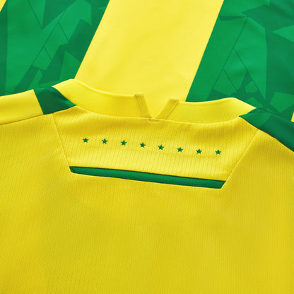 Nantes Domicile 2024-25 (L)