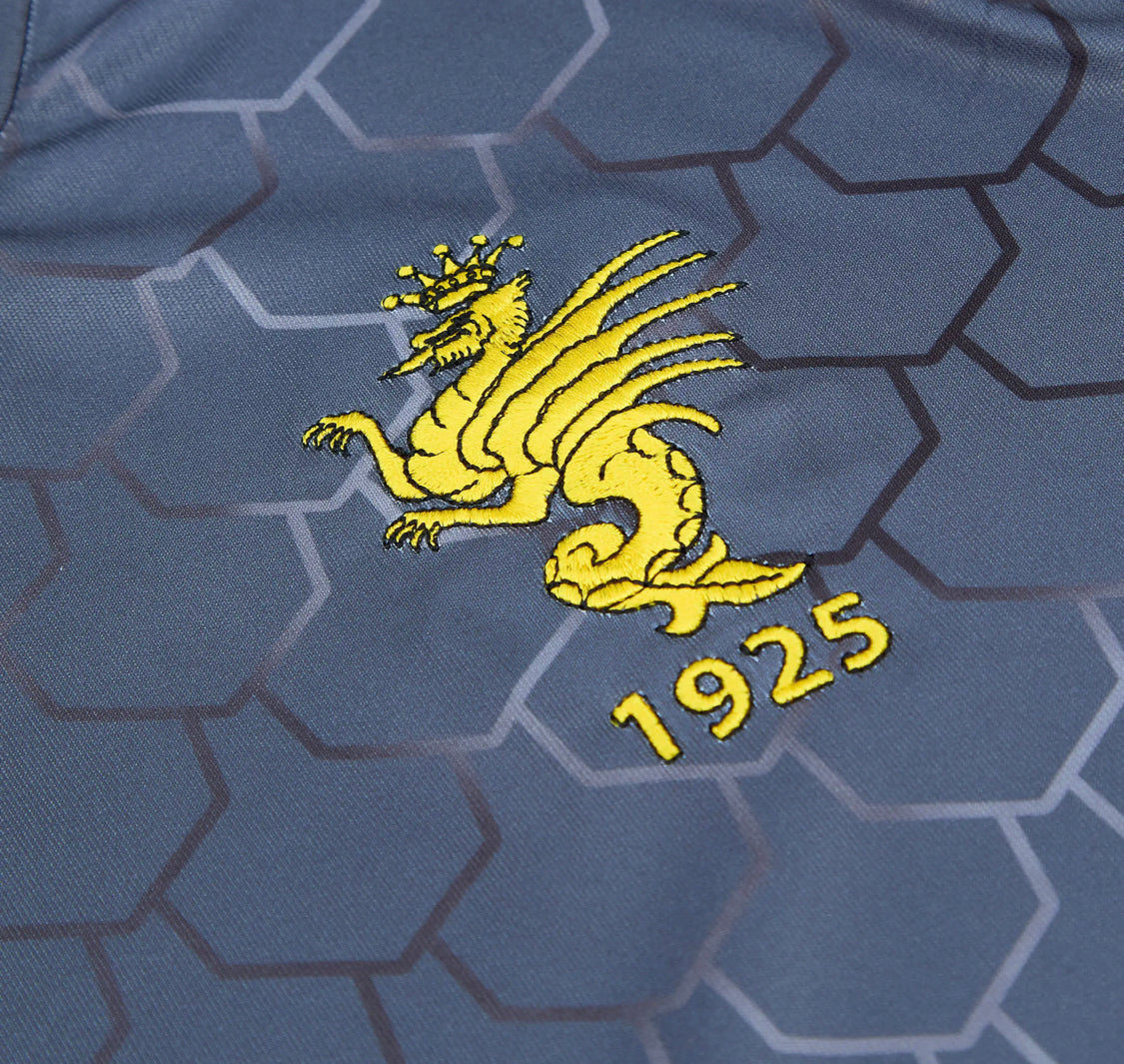 Ternana Third 2024-25 (L)