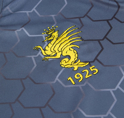 Ternana Third 2024-25 (L)