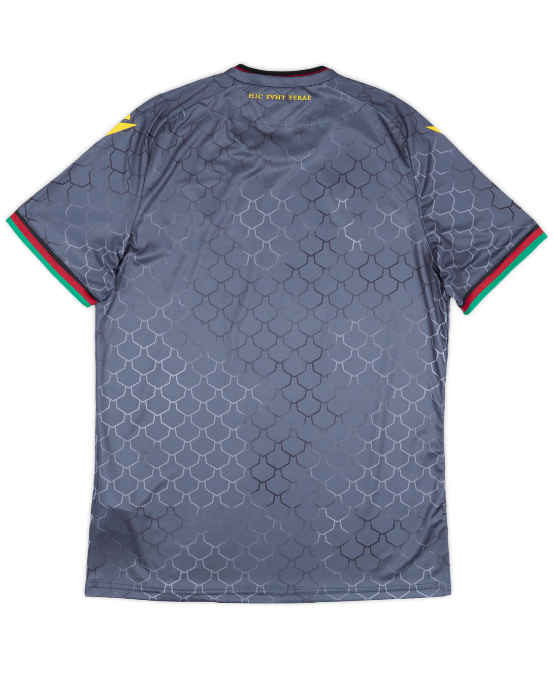 Ternana Third 2024-25 (L)