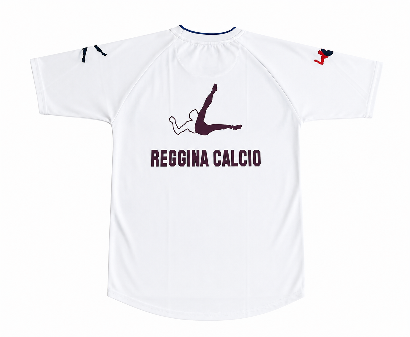 Reggina Training Player 2014-15 (L)