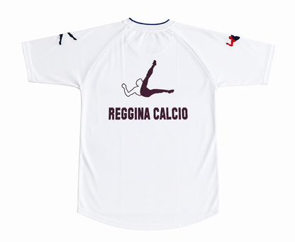 Reggina Training Player 2014-15 (L)