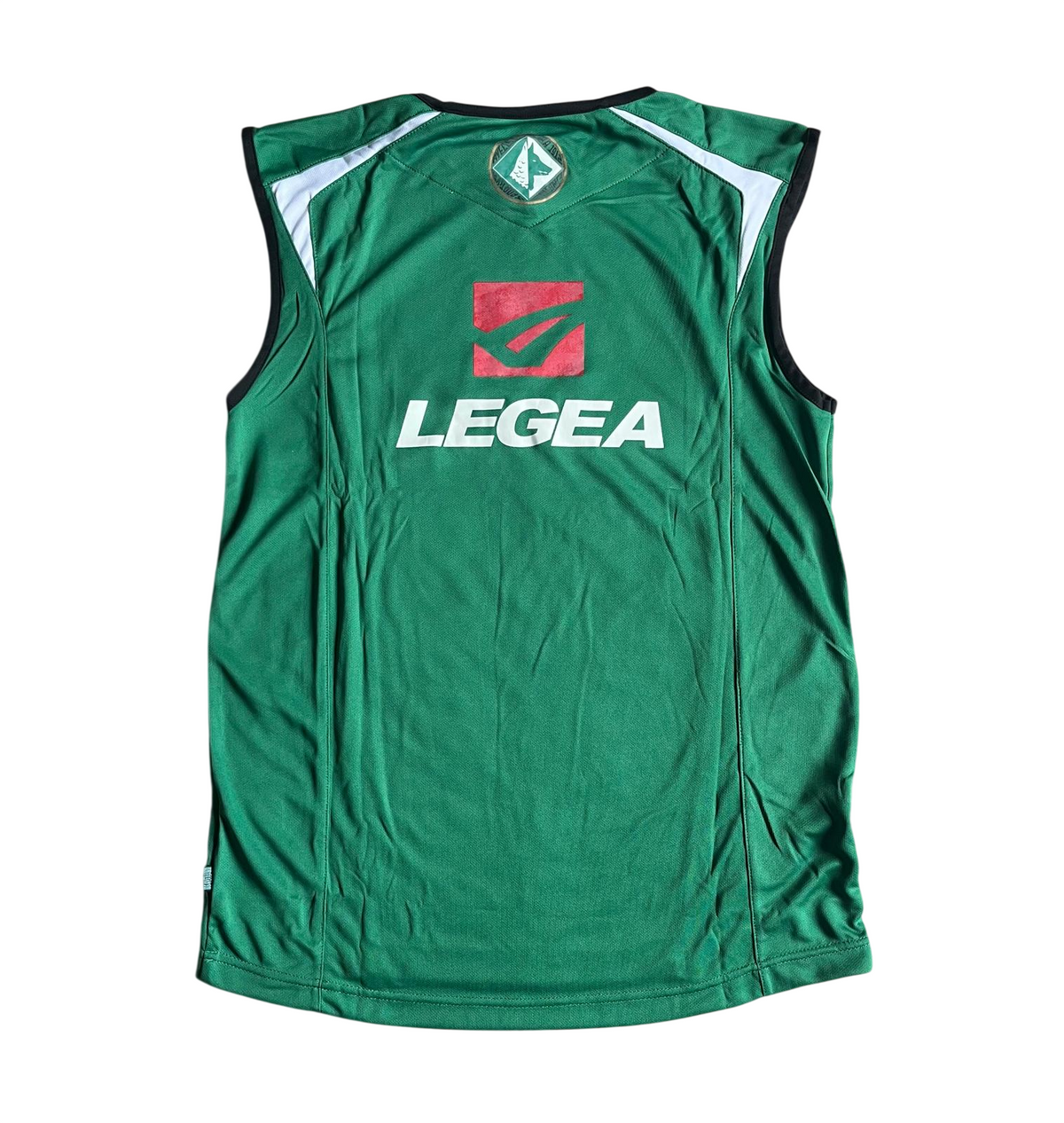 Avellino Training Player SL 2013-14 (L) [with short]