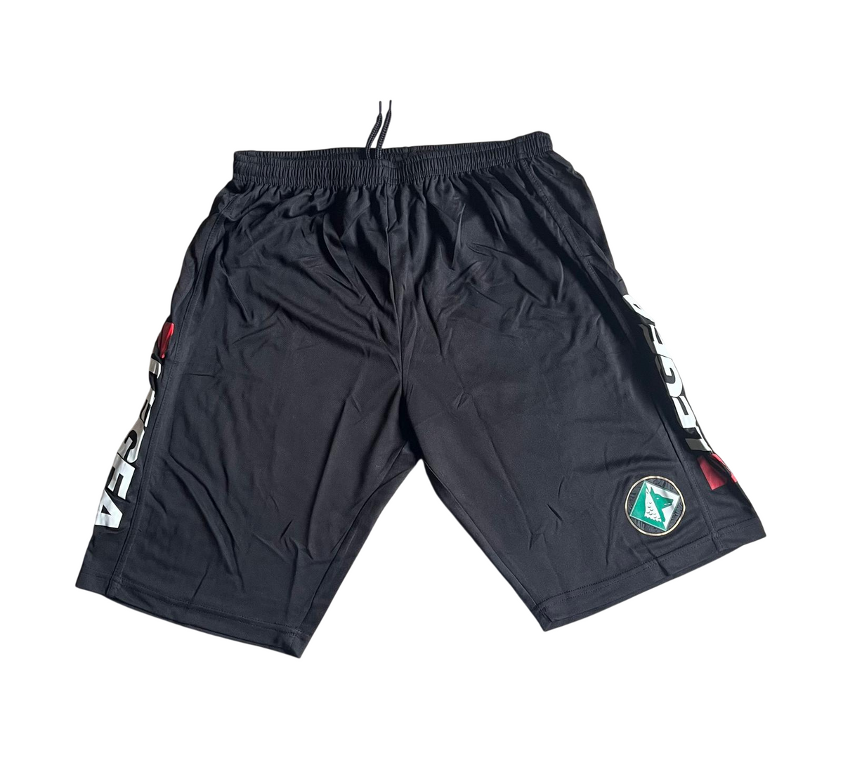 Avellino Training Player SL 2013-14 (L) [with short]