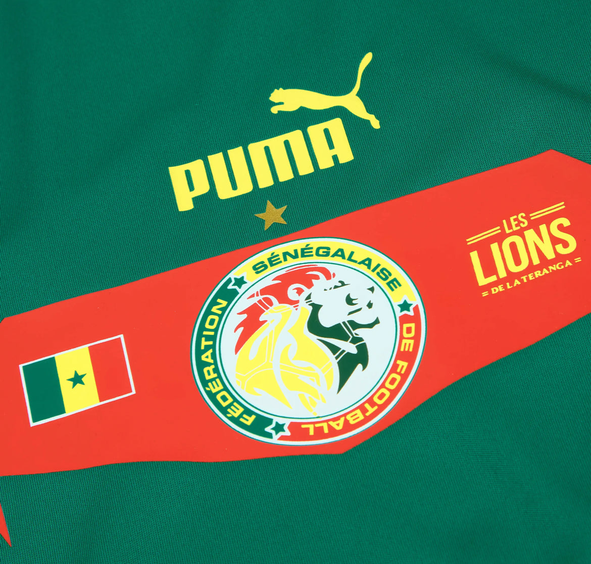 Senegal Extérieur 2022 World Cup (M/L) [stock fan]