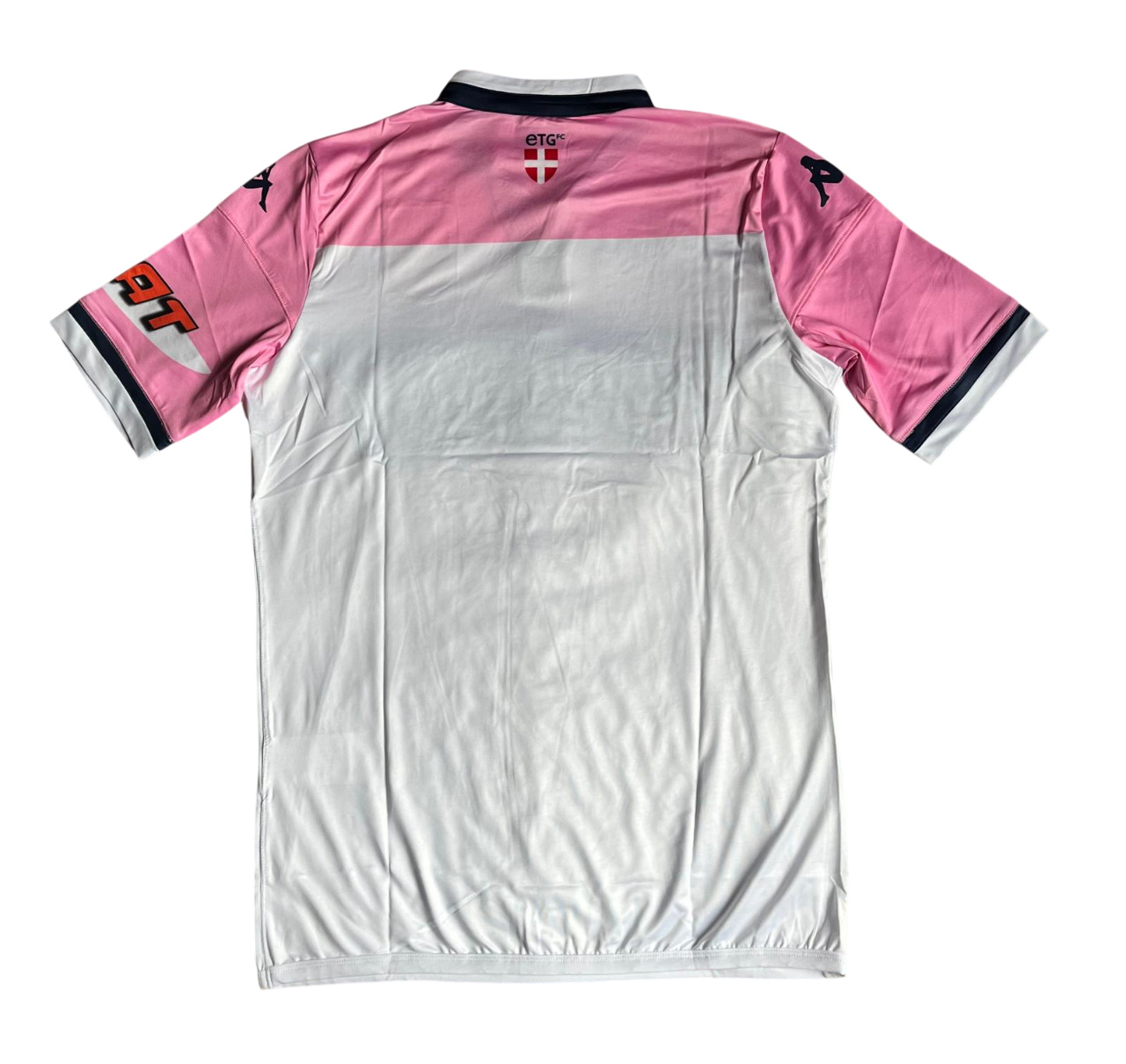 Evian Thonon Gaillard Domicile 2015-16 (S/L) [stock pro]