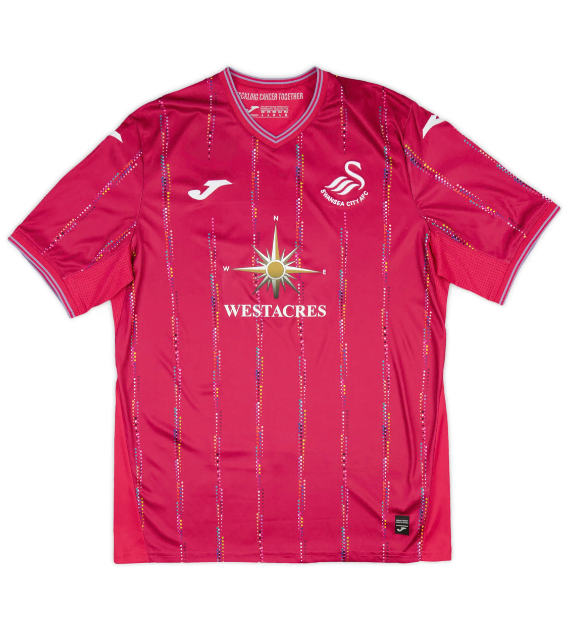 Swansea Third 2023-24 (L)