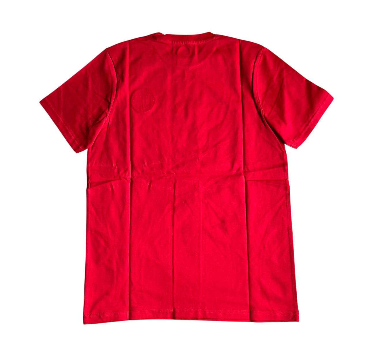 Feyenoord T-Shirt Officiel 2023-24 (M/L)