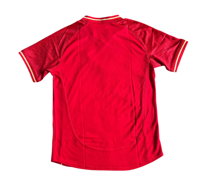 Birmanie Domicile 2024-25 (S/M/L/XL/XXL)