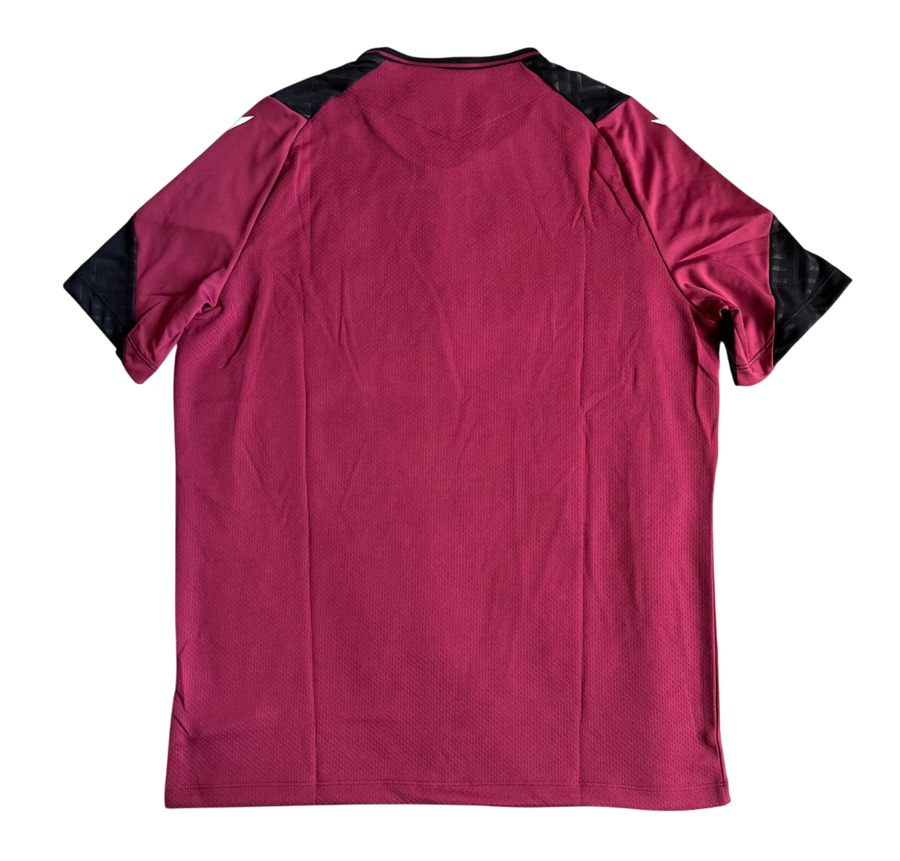 Pays de Galles Training T-Shirt 23-24 (XL/XXL/3XL)