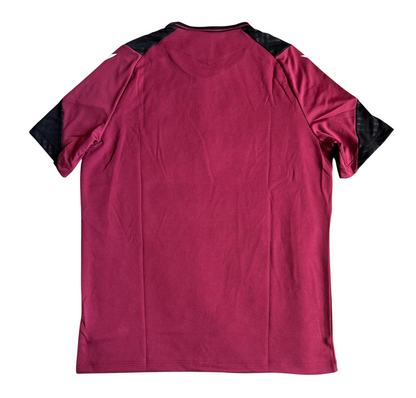 Pays de Galles Training T-Shirt 23-24 (XL/XXL/3XL)