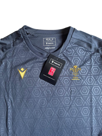Pays de Galles Rugby Training T-Shirt 24-25 (S)