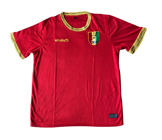 Guinée Domicile 2021 (S/M/L) [stock fan]