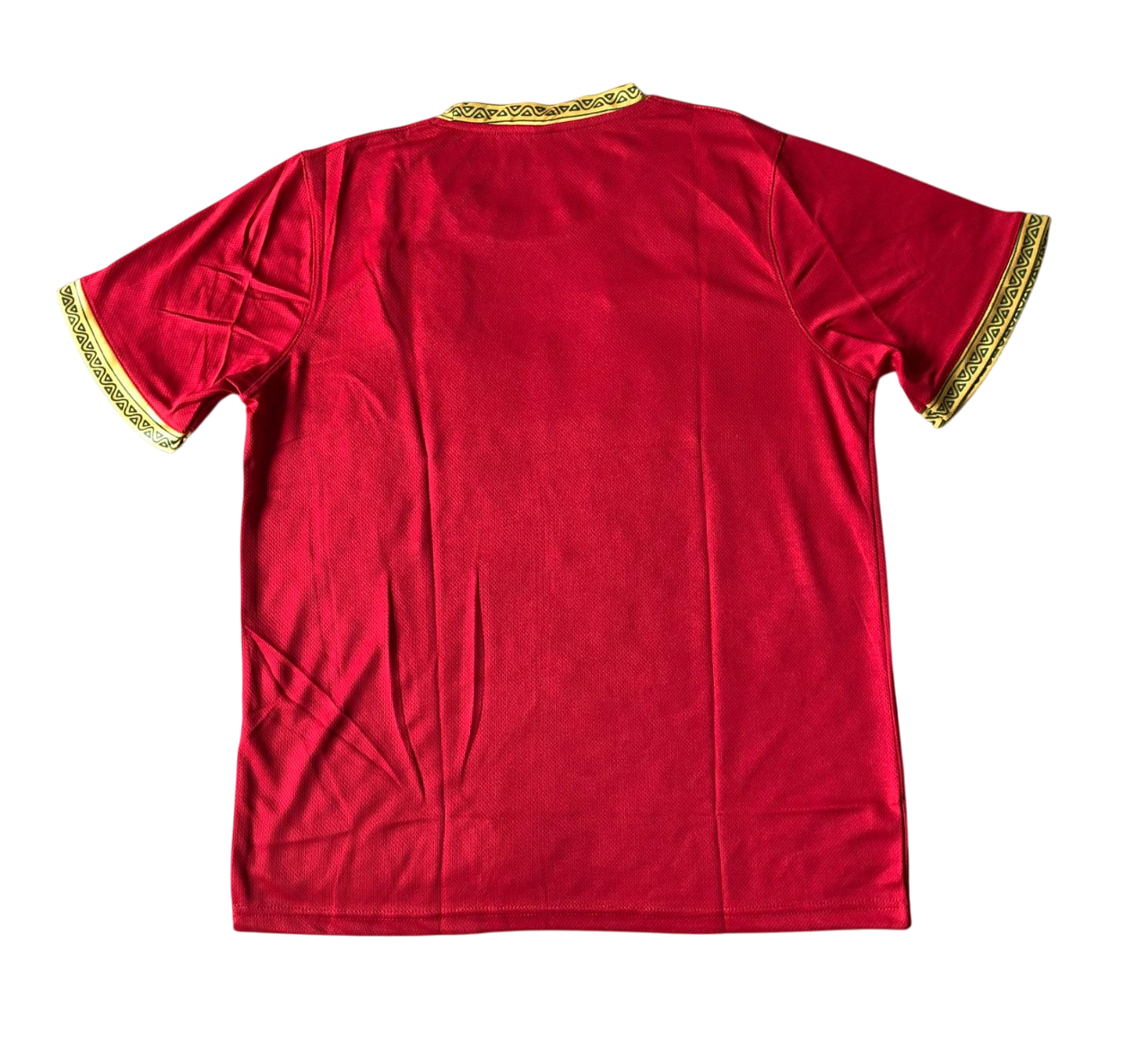 Guinée Domicile 2021 (S/M/L) [stock fan]