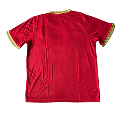 Guinée Domicile 2021 (S/M/L) [stock fan]