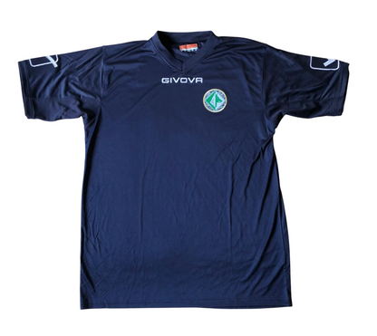 Avellino Training T-Shirt 2016-17 (L/XL) [with short]