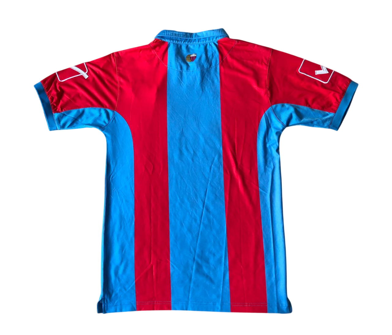 Catania Domicile 2014-15 (M)