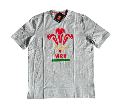 Pays de Galles Rugby T-Shirt Officiel 2020-21 (L/XL/3XL)