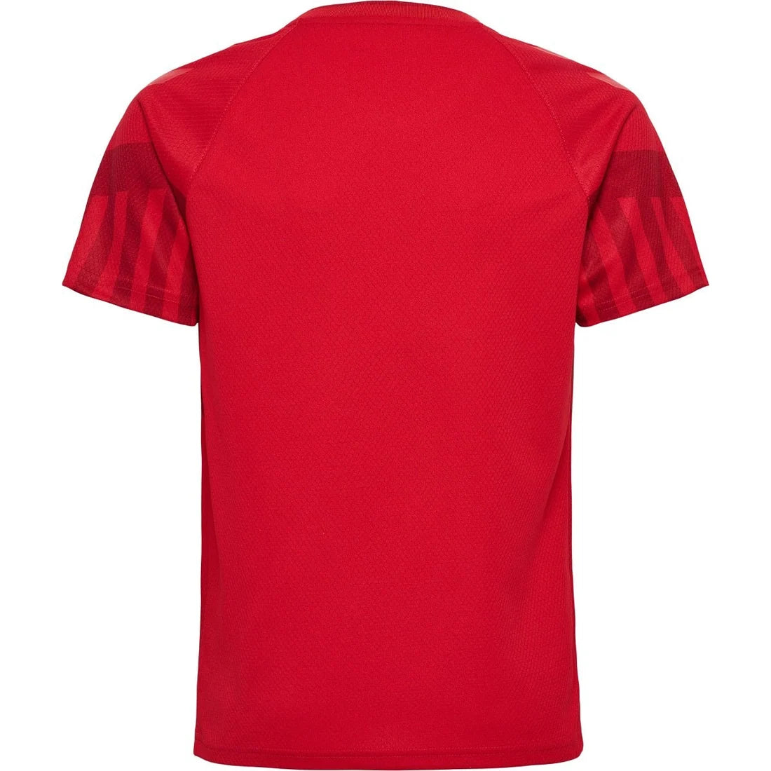 Danemark Domicile 2022 World Cup (XXL)