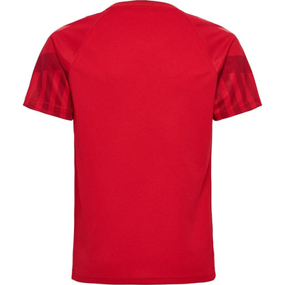 Danemark Domicile 2022 World Cup (XXL)
